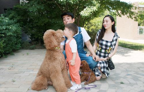 狗狗當“家教” 萌寵叼衣架監督小主人寫作業，神似操心老母親